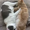 rescue_to_royalty