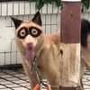 connaybikhungah