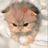 tunskyy_