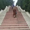 98linh198