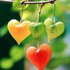 rizwanafzal573