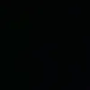 n._lpz