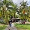 bintang_9779