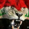 user7060076869411