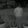 g1__mf
