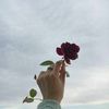 nouf_99_2