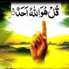 user3610739161435