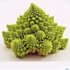 ogtriangularbroccoli