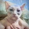 prosto_gleb77