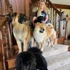 familyfriendsdogmom
