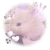 1_luckycharmz_1