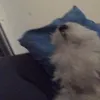 martuquiiii