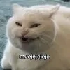 iuserlqw