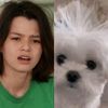 amyalmeida10