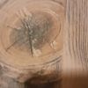 literal_wood