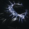 disciple2517