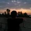 n._.e._.m._.o7