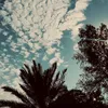 be0f23