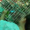 thereina22
