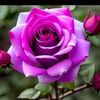 user3709200401639