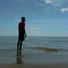 arifsiananyar