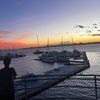 eli_humphreys1
