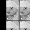 ikha_new3
