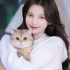 laxman__sunar10
