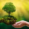 naturelove331
