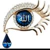 user4303151032672