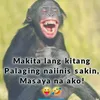 kambal0
