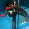 fil_fishing