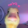 lov4u_a