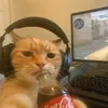 elizabethandrs1