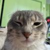 rebl0quer