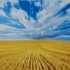ua_glory_to_ukraine