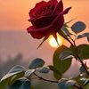 gul.hameed.abbasi4