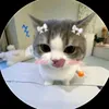 nhuquynhnguye2