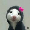 teebloom72