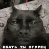 user1205484687047