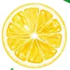 txt.lemon2