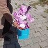 ksmeetpalaa
