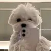 elijahmay58