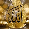 user8146506710695