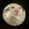 _.maivemai._