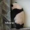 อคมฮบคยดคมฮ