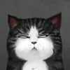 zzzkfh00