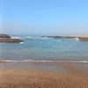 samira67417
