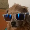rayansiwek