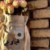 narveen_sweity
